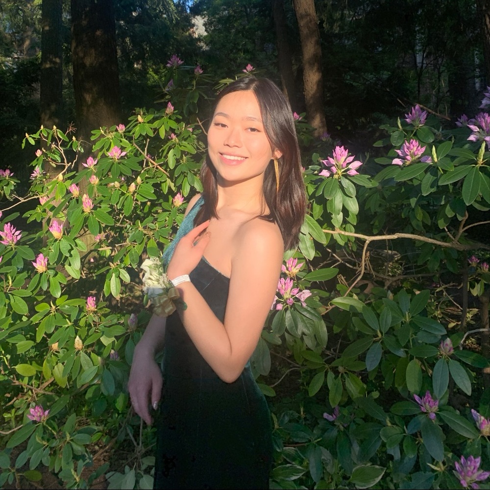 velvet green prom dress